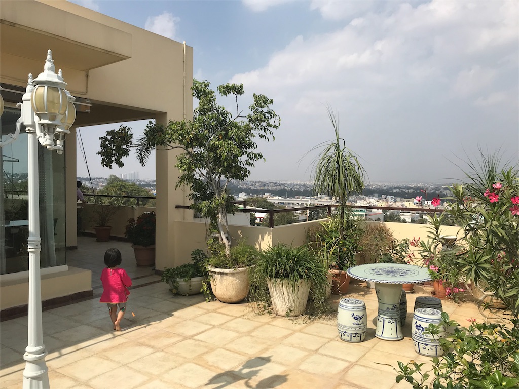 f:id:wataru_india:20200202090108j:image