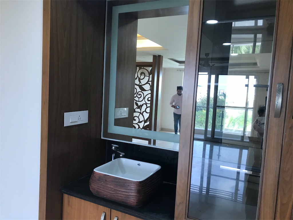 f:id:wataru_india:20200202090517j:image