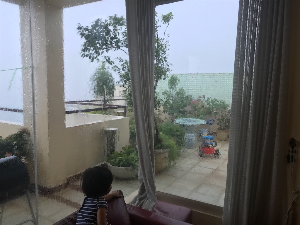 f:id:wataru_india:20200516195908j:image