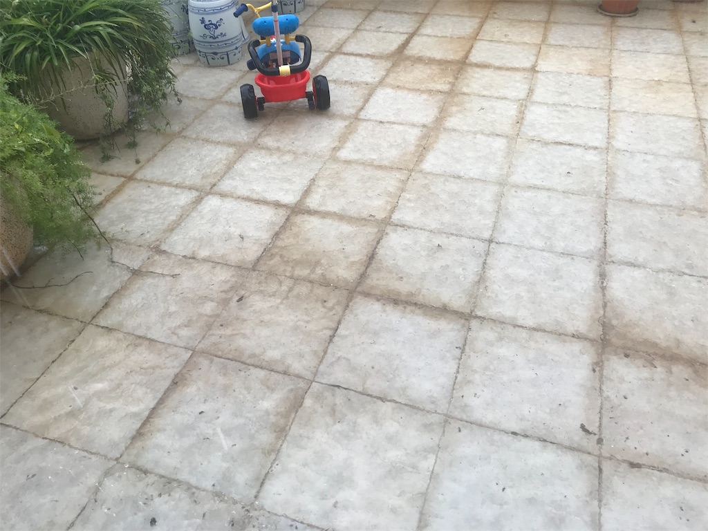 f:id:wataru_india:20200516195921j:image