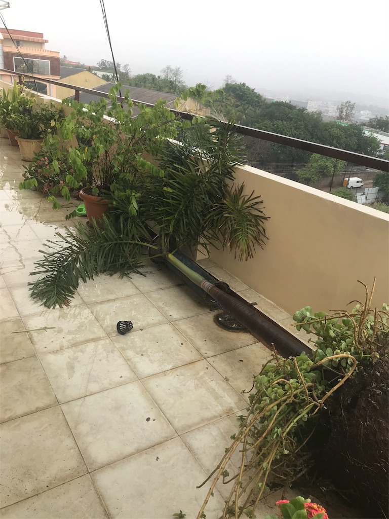 f:id:wataru_india:20200516200829j:image