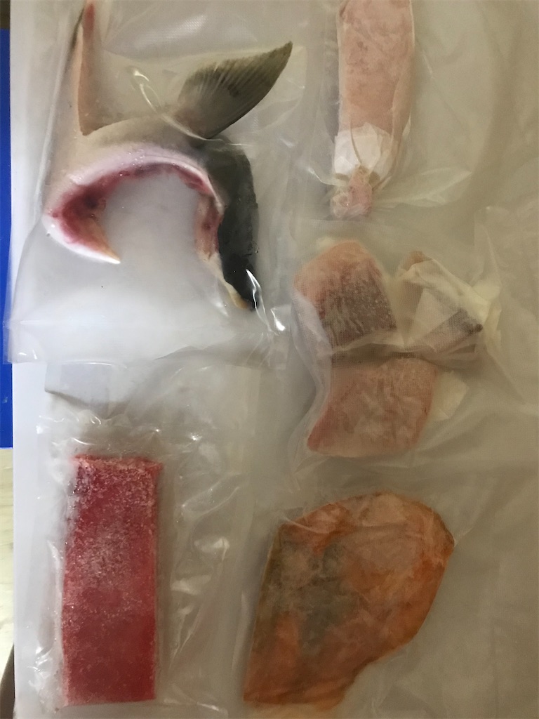 f:id:wataru_india:20200914103935j:plain f:id:wataru_india:20200914103935j:plain