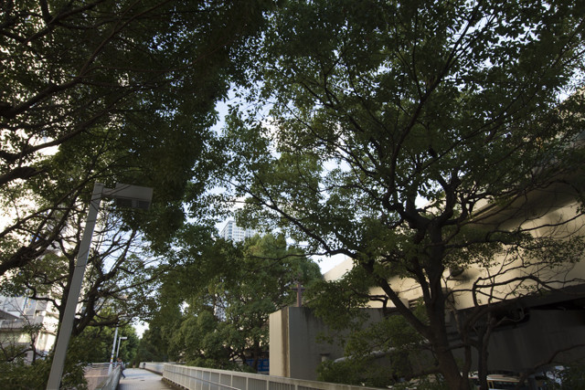 f:id:wataru_ph:20170904002205j:plain