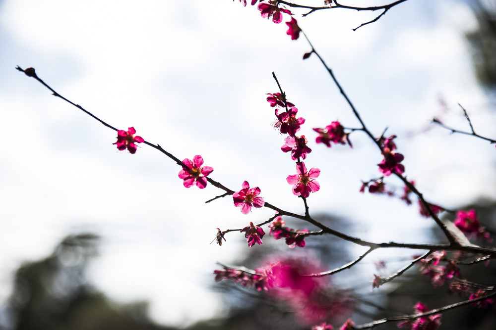 f:id:wataru_ph:20180315230411j:plain
