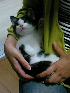 f:id:watarumi:20050728222922j:image f:id:watarumi:20050728222922j:image