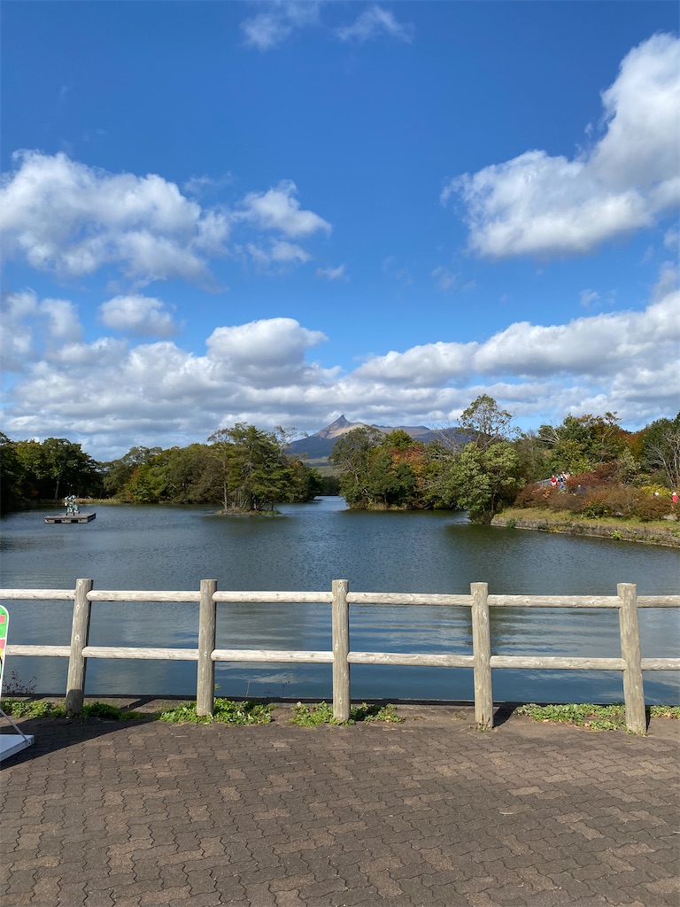 f:id:watarutabi:20241216205724j:image