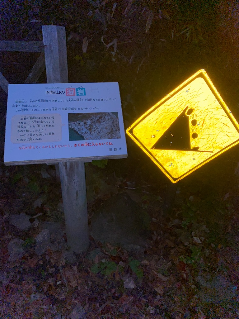 f:id:watarutabi:20241225213040j:image