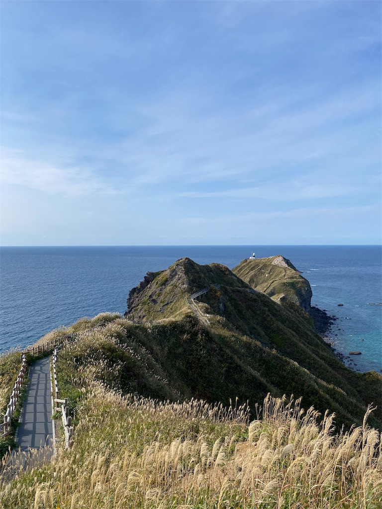 f:id:watarutabi:20250116200405j:image