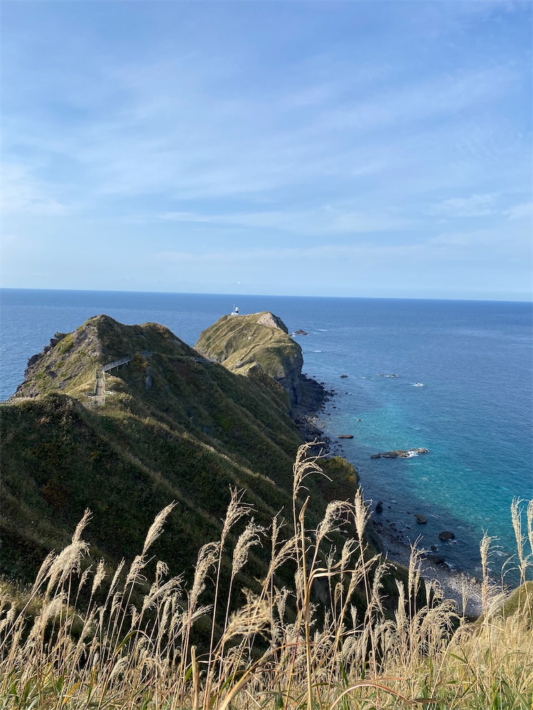 f:id:watarutabi:20250117220143j:image