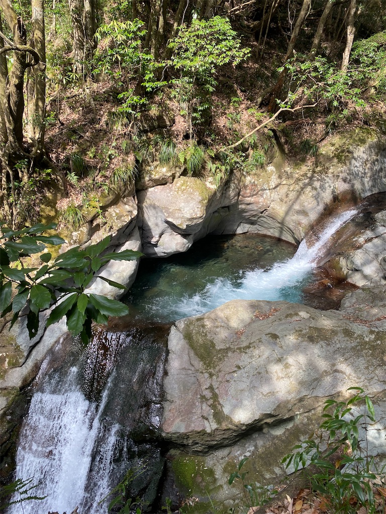 f:id:watarutabi:20250309185646j:image