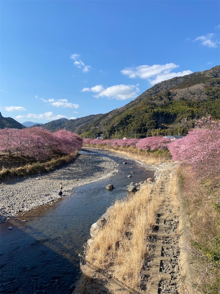 f:id:watarutabi:20250310204620j:image
