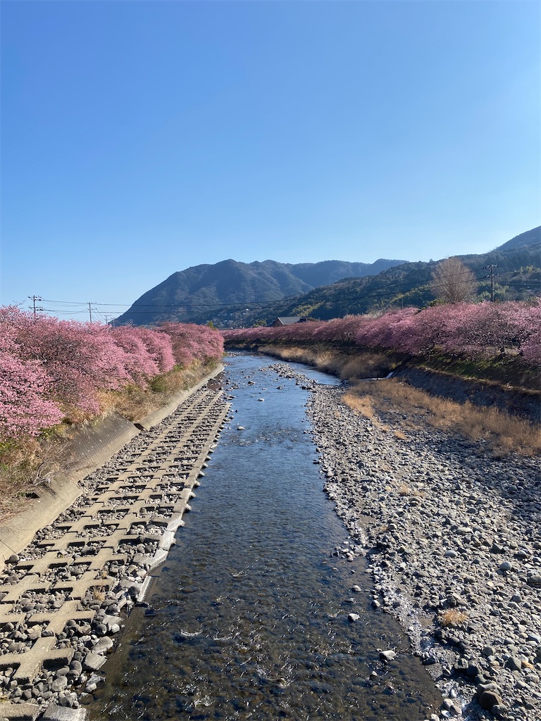 f:id:watarutabi:20250310210408j:image