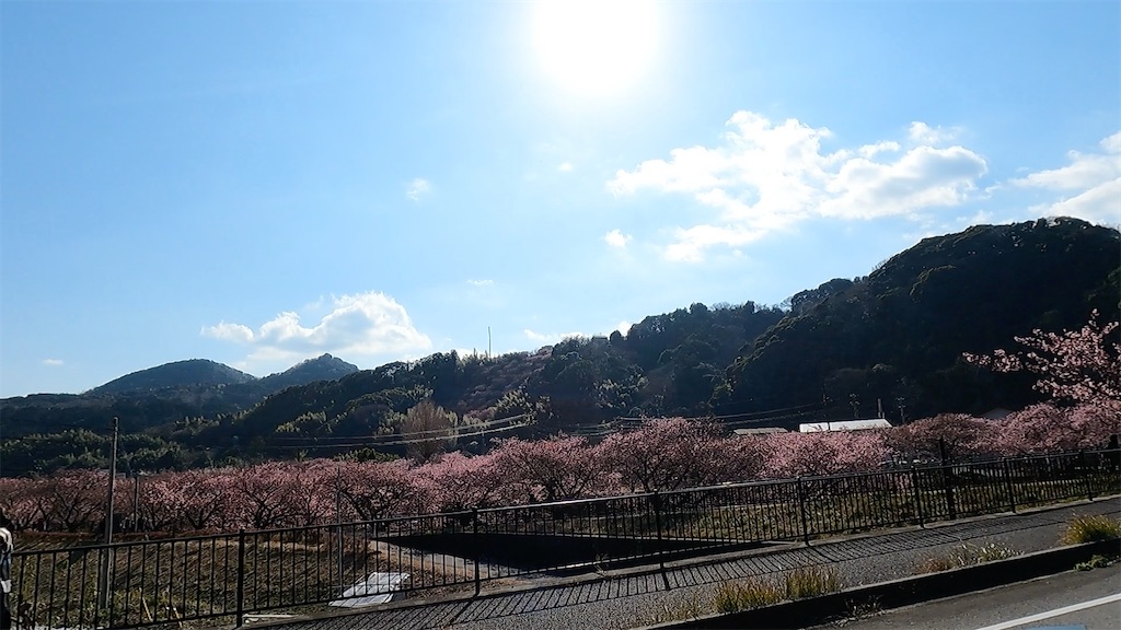 f:id:watarutabi:20250311123928j:image