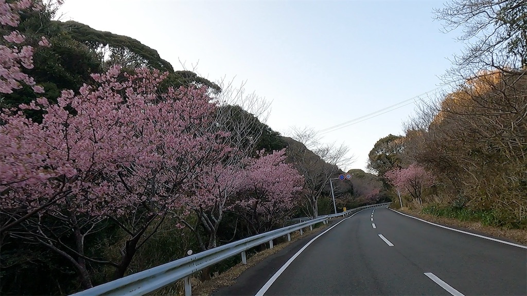 f:id:watarutabi:20250319110455j:image