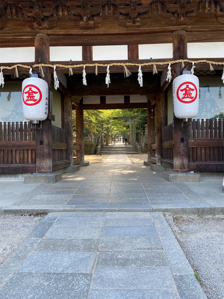 f:id:watarutabi:20250508180713j:image