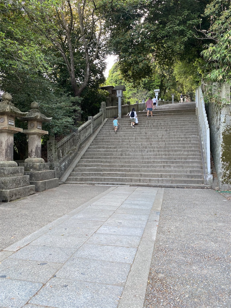 f:id:watarutabi:20250508181439j:image