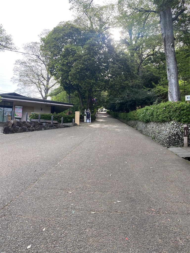f:id:watarutabi:20250515135534j:image