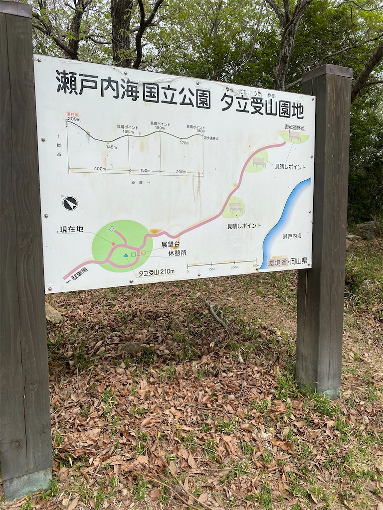 f:id:watarutabi:20250614190313j:image