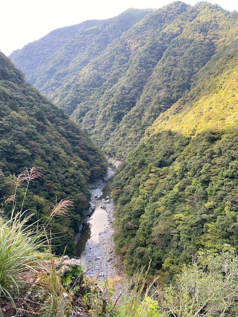 f:id:watarutabi:20251228213033j:image