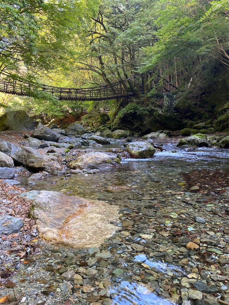 f:id:watarutabi:20260115211602j:image