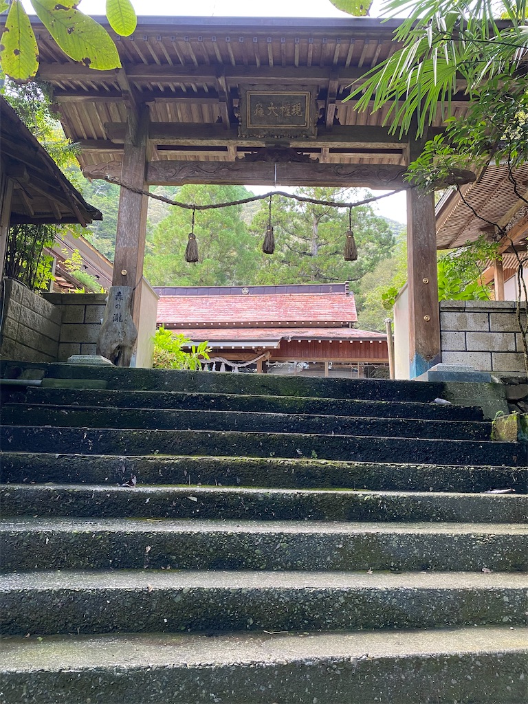 f:id:watarutabi:20260203190232j:image