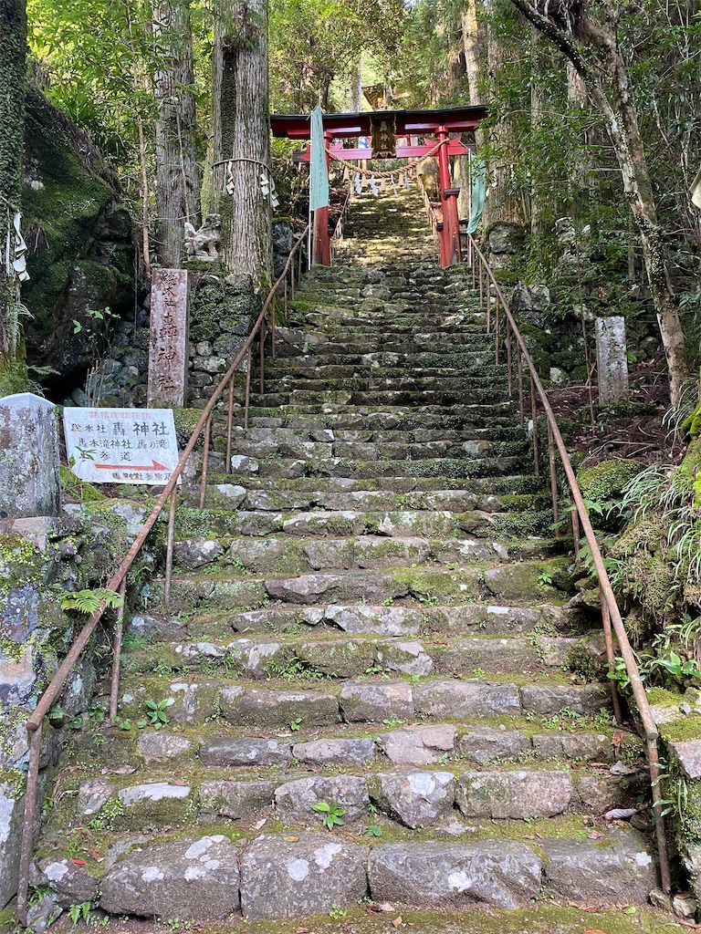 f:id:watarutabi:20260203190248j:image