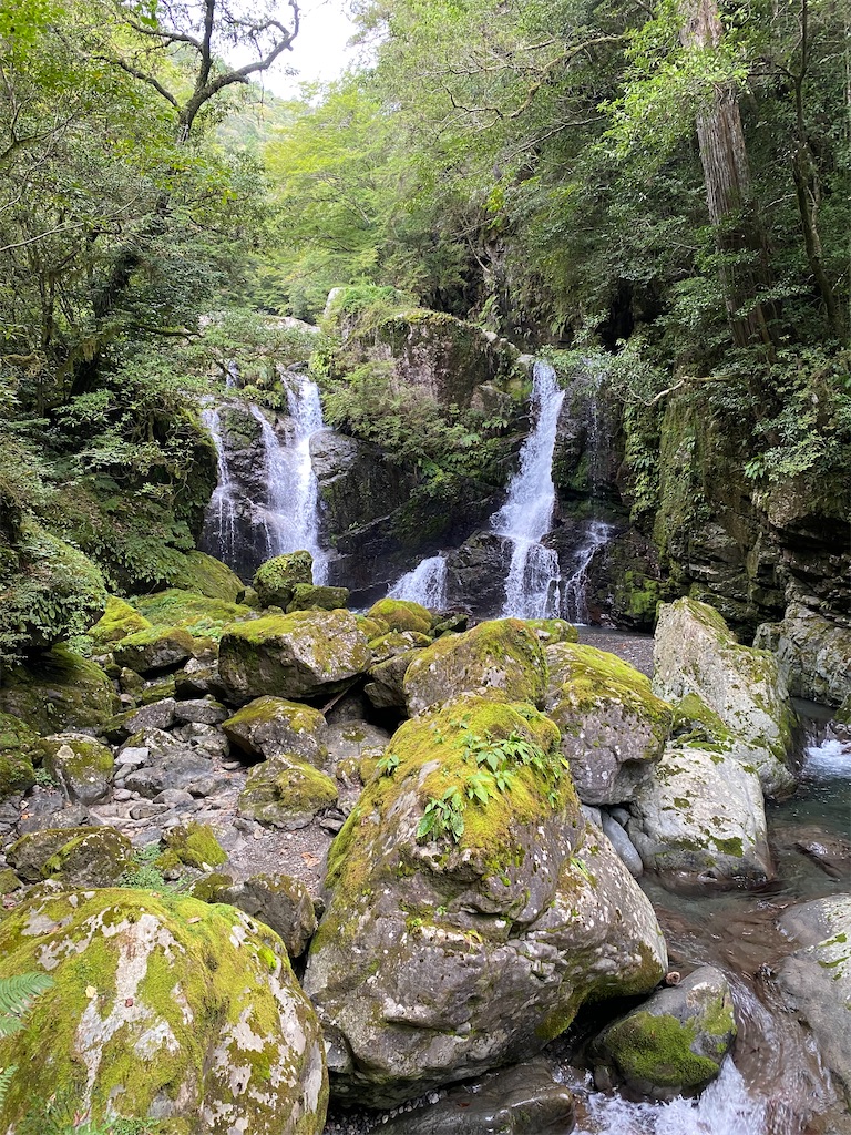 f:id:watarutabi:20260203193651j:image