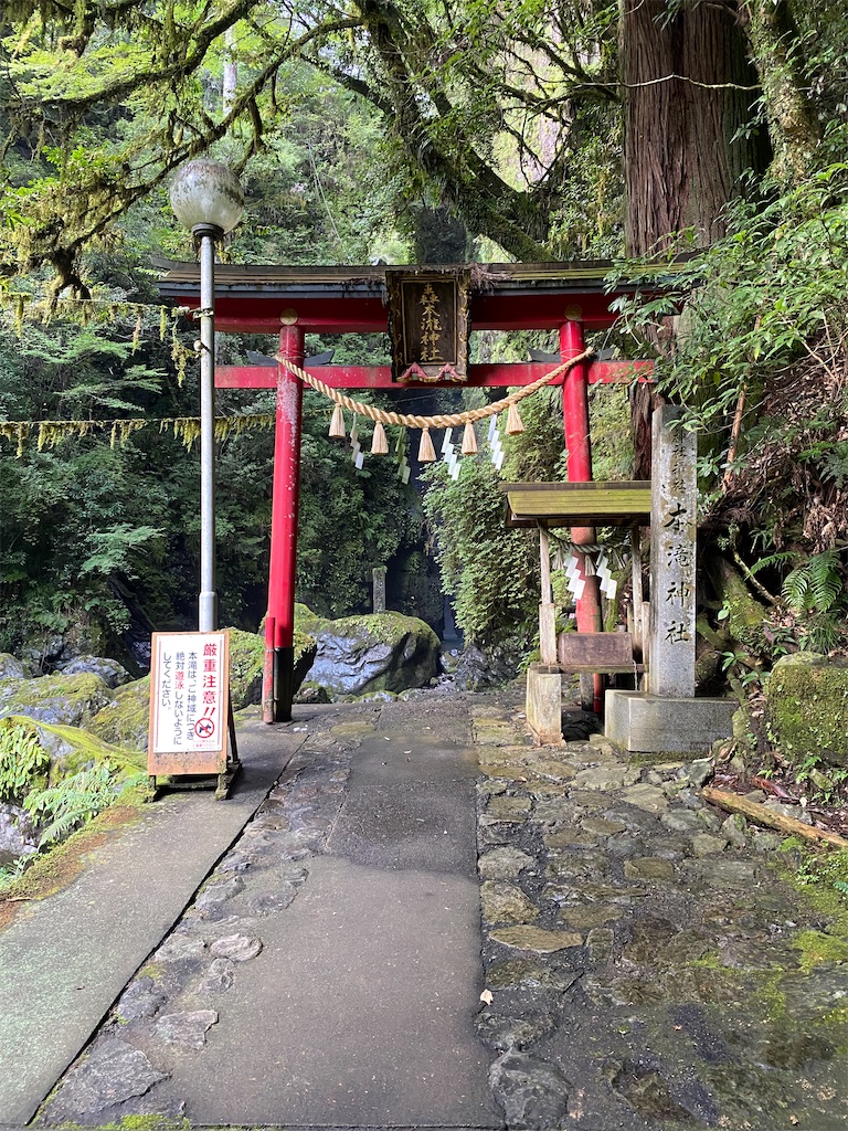 f:id:watarutabi:20260203194647j:image
