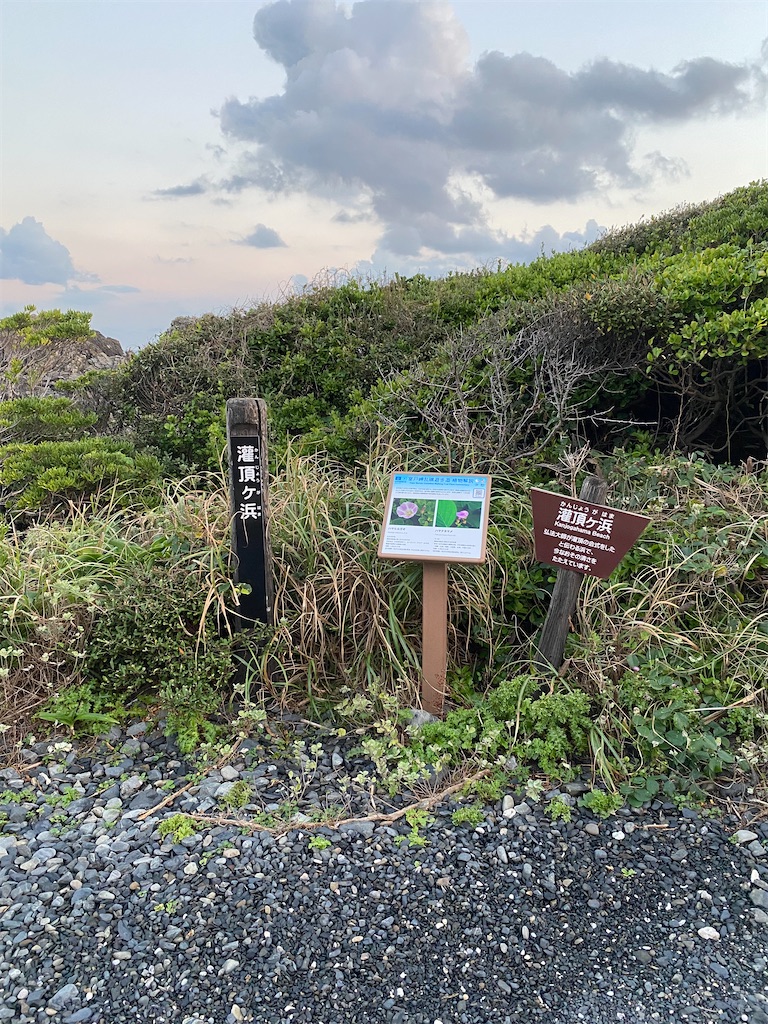 f:id:watarutabi:20260207204635j:image