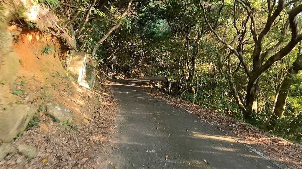 f:id:watarutabi:20260311125139j:image