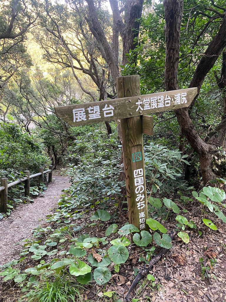 f:id:watarutabi:20260313185704j:image