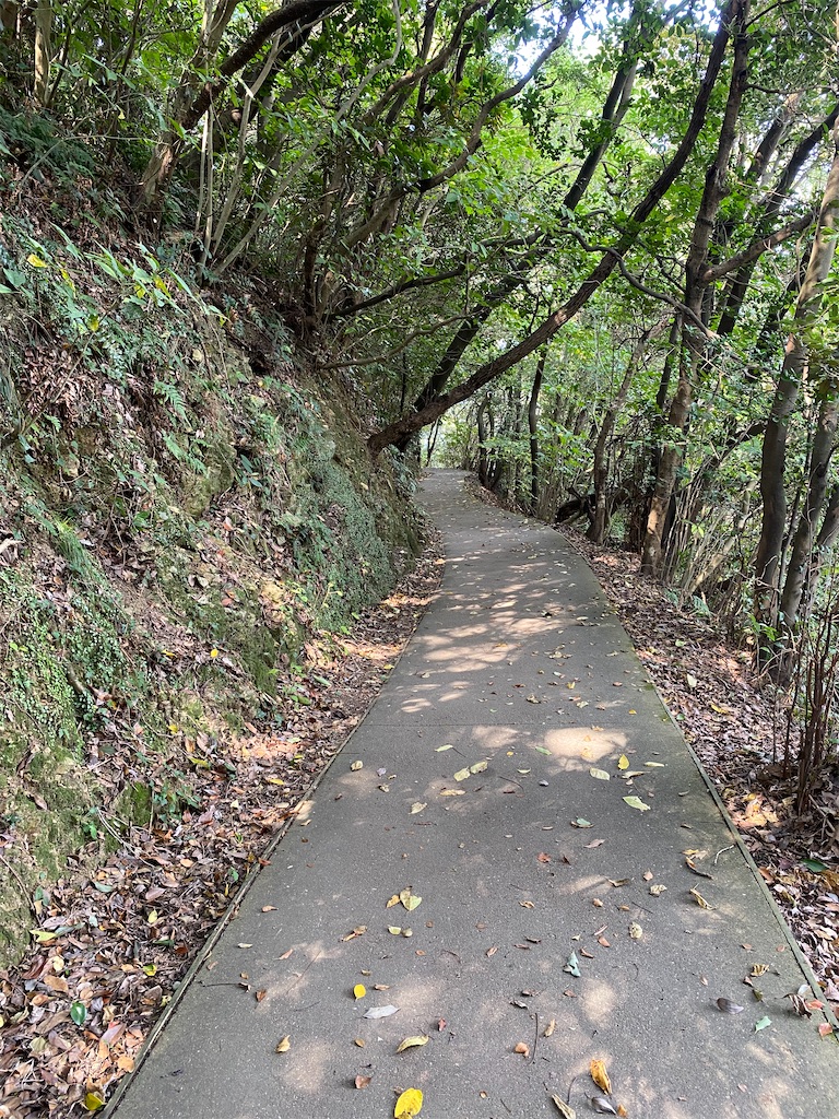 f:id:watarutabi:20260409133653j:image
