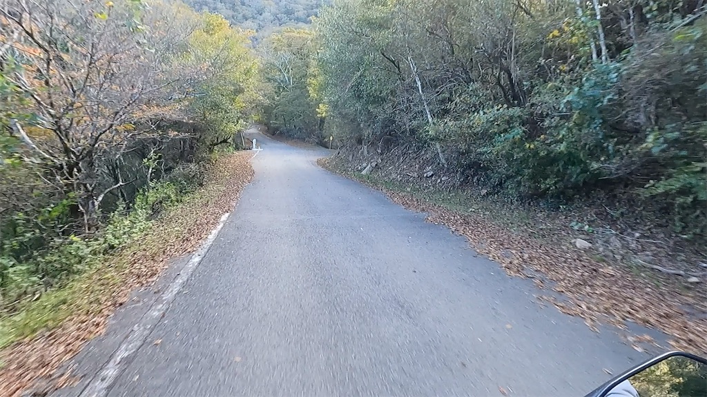 f:id:watarutabi:20260510143224j:image