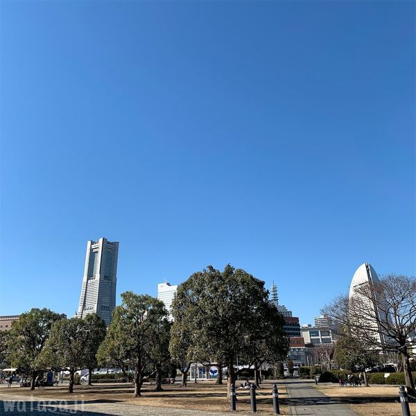 スマホの壁紙を一新したい 青空の下で色んな場所から横浜ランドマークタワーを撮ってみた編 何だかんだで私のさじ加減
