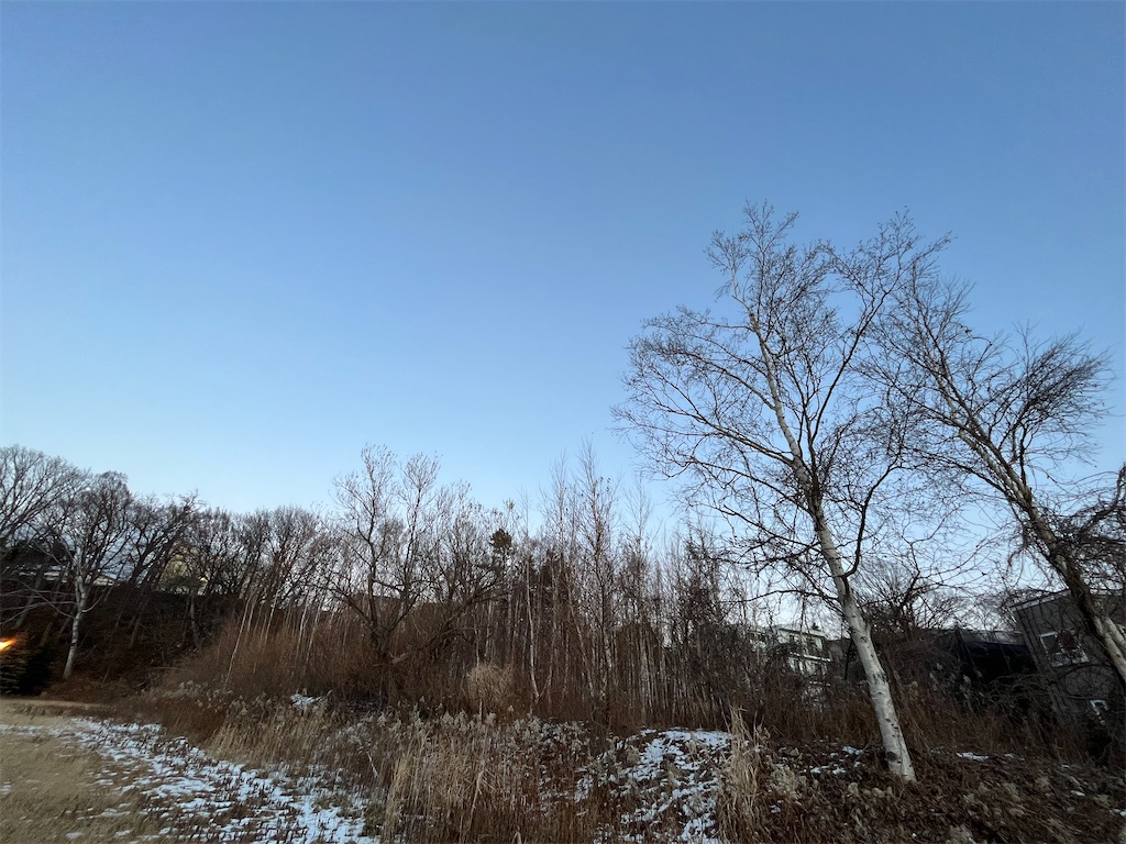 f:id:watashi-bune38:20221212003515j:image