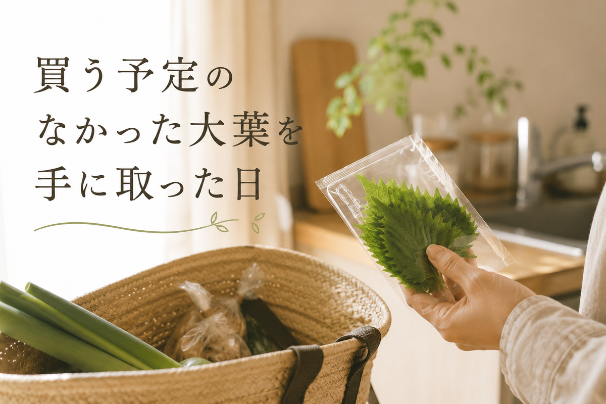 買う予定のなかった大葉を手に取った日｜初夏のスーパーで見つけた大葉と買い物かご