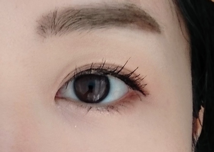 f:id:watashi_n:20190223220917j:plain f:id:watashi_n:20190223220917j:plain