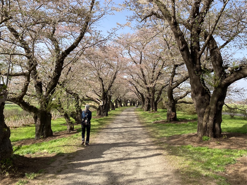 f:id:watashimesen:20230525215542j:image f:id:watashimesen:20230525215542j:image