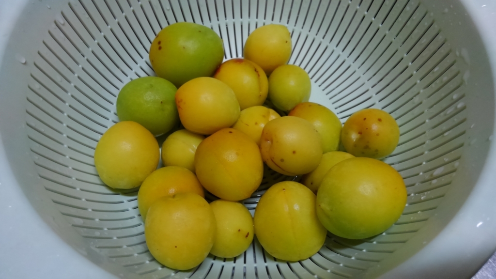 f:id:watashinnchi:20170712151634j:plain f:id:watashinnchi:20170712151634j:plain