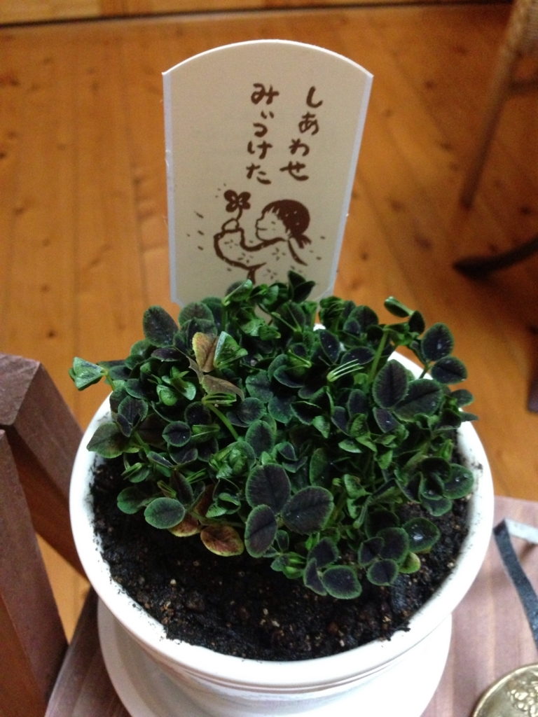 f:id:watashirashiku3105:20180226074654j:plain f:id:watashirashiku3105:20180226074654j:plain