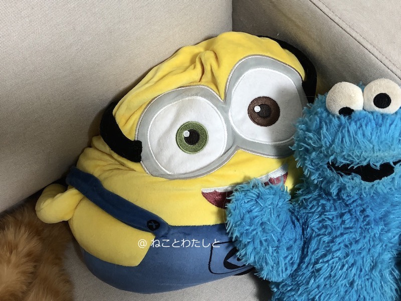 f:id:watashitonekoto:20180919161949j:plain f:id:watashitonekoto:20180919161949j:plain
