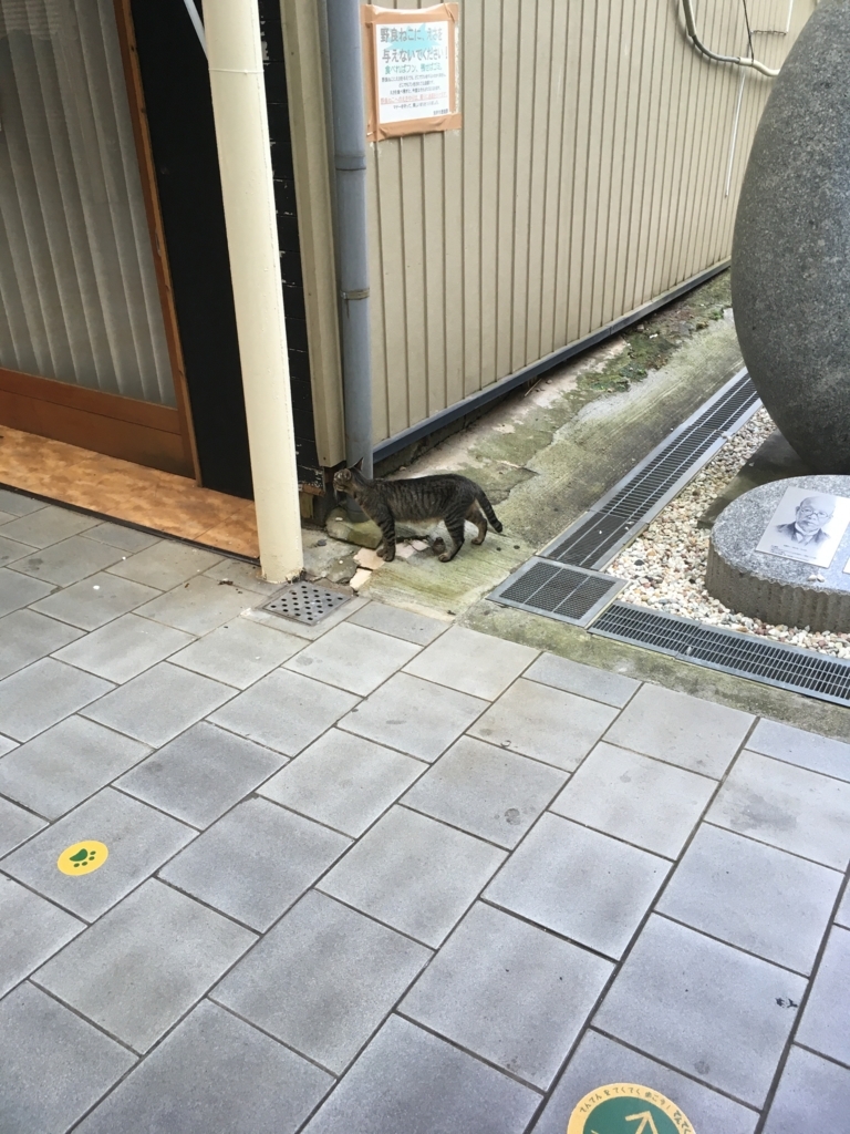 f:id:watasihasitujidesu:20180724075019j:plain f:id:watasihasitujidesu:20180724075019j:plain