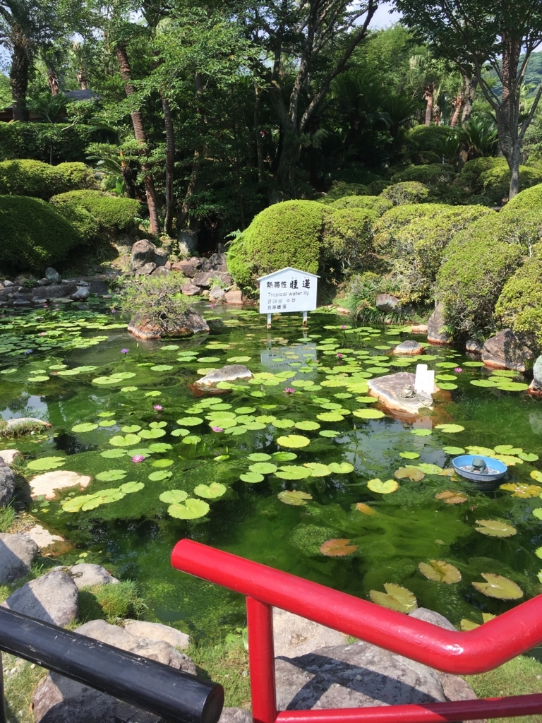 f:id:watasihasitujidesu:20180724095036j:plain f:id:watasihasitujidesu:20180724095036j:plain