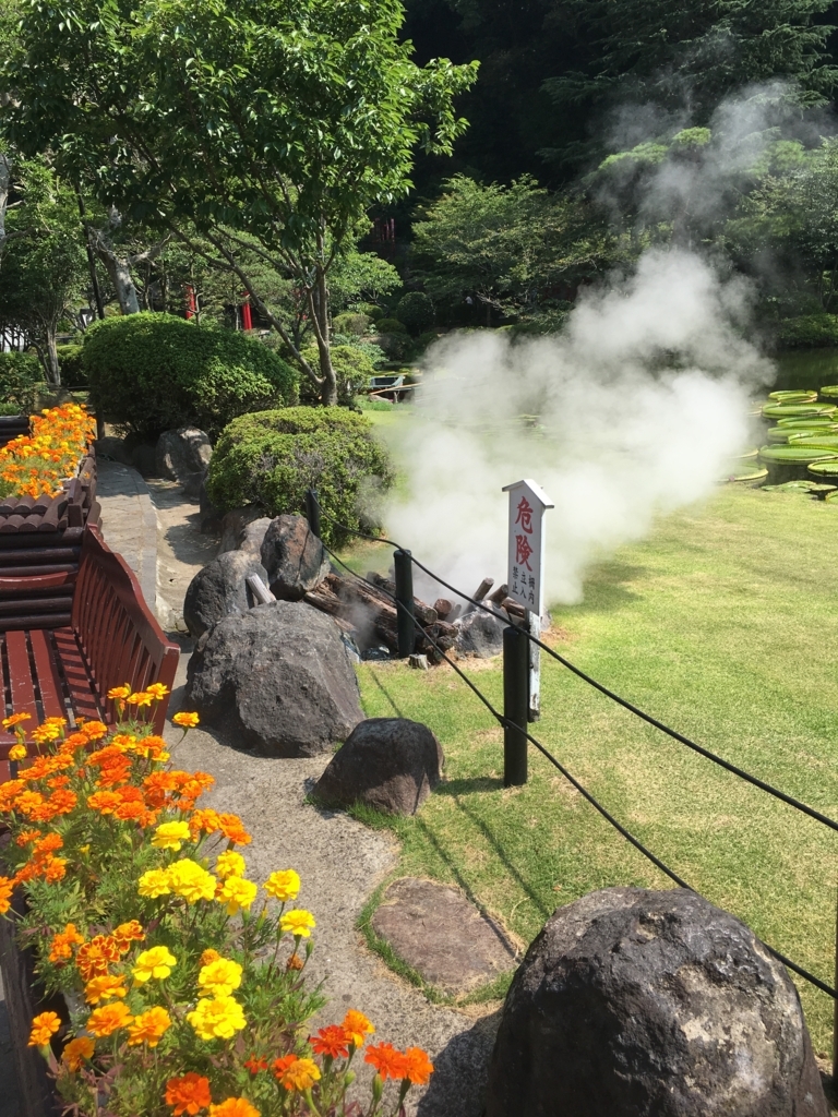 f:id:watasihasitujidesu:20180724095203j:plain f:id:watasihasitujidesu:20180724095203j:plain