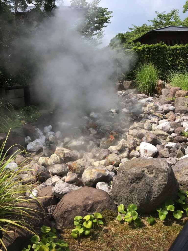 f:id:watasihasitujidesu:20180724101711j:plain f:id:watasihasitujidesu:20180724101711j:plain