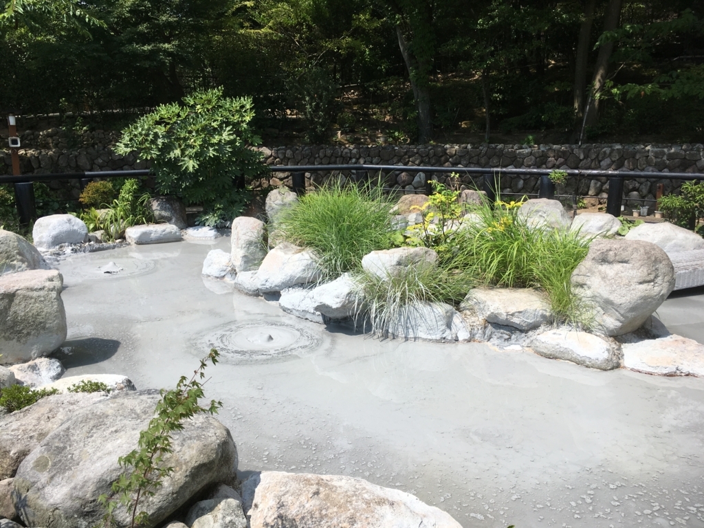 f:id:watasihasitujidesu:20180724101810j:plain f:id:watasihasitujidesu:20180724101810j:plain