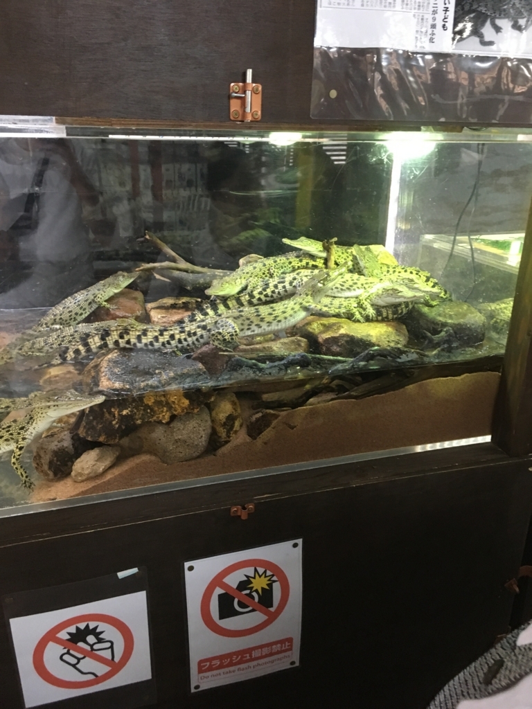 f:id:watasihasitujidesu:20180724103921j:plain f:id:watasihasitujidesu:20180724103921j:plain