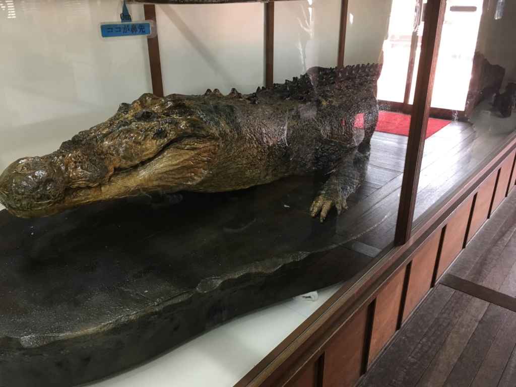 f:id:watasihasitujidesu:20180724104005j:plain f:id:watasihasitujidesu:20180724104005j:plain