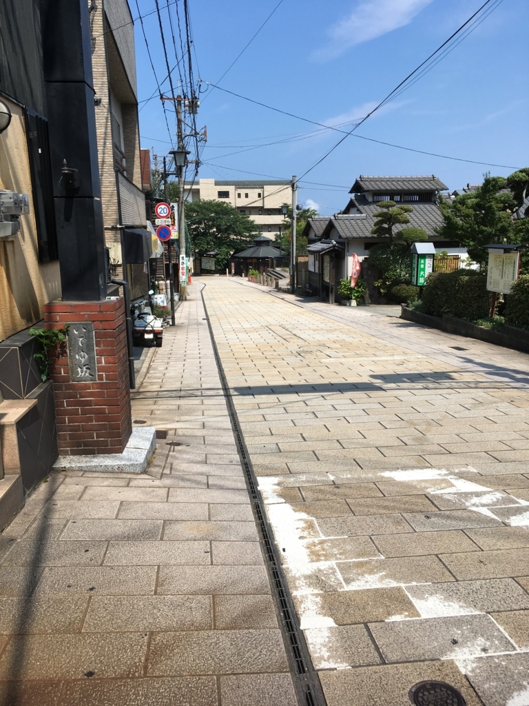 f:id:watasihasitujidesu:20180724142355j:plain f:id:watasihasitujidesu:20180724142355j:plain