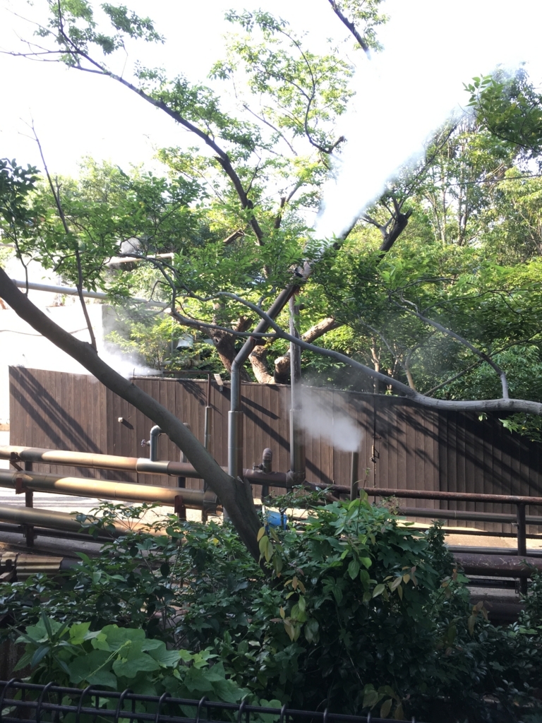 f:id:watasihasitujidesu:20180724161406j:plain f:id:watasihasitujidesu:20180724161406j:plain